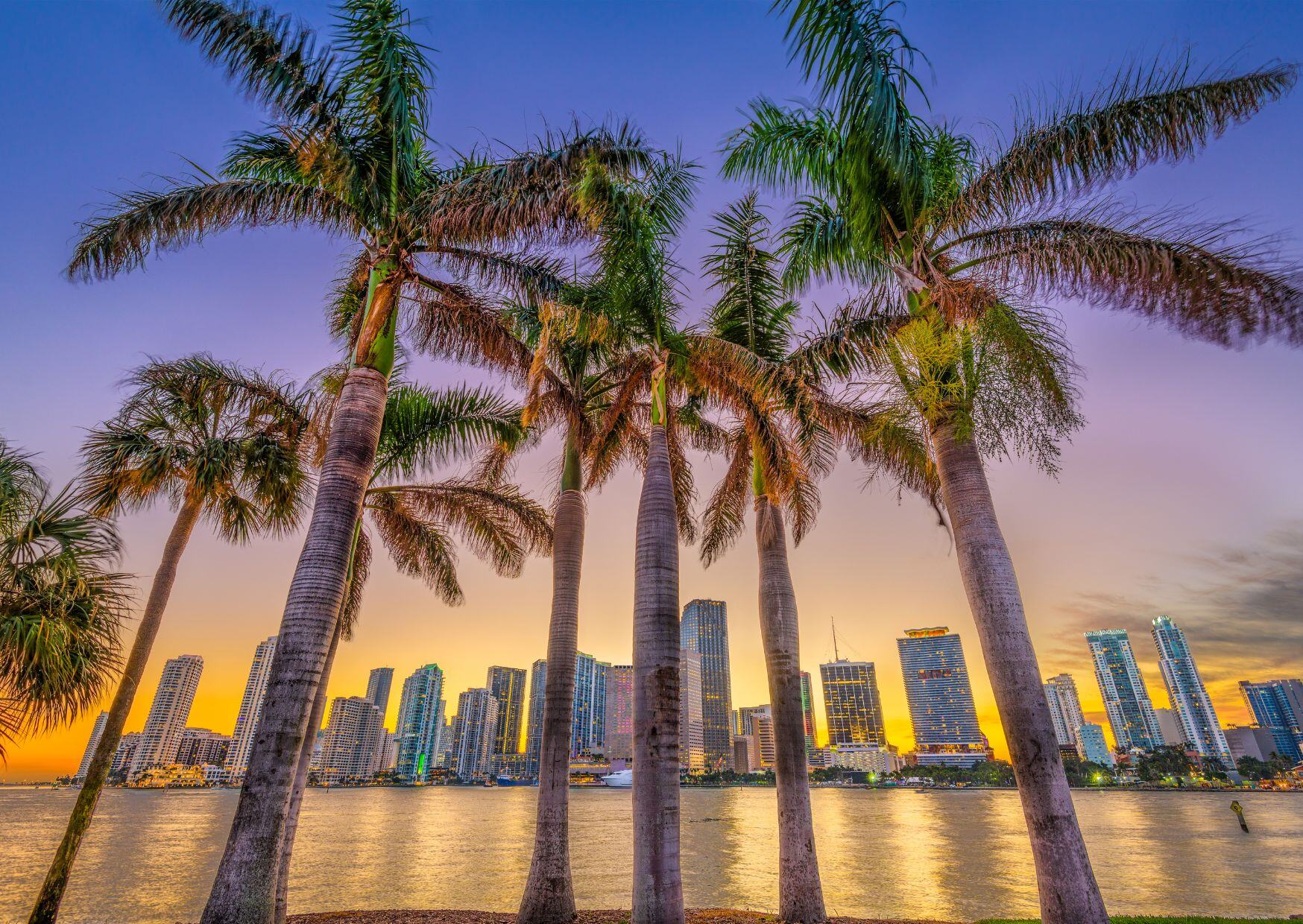 Trial Lawyers Summit